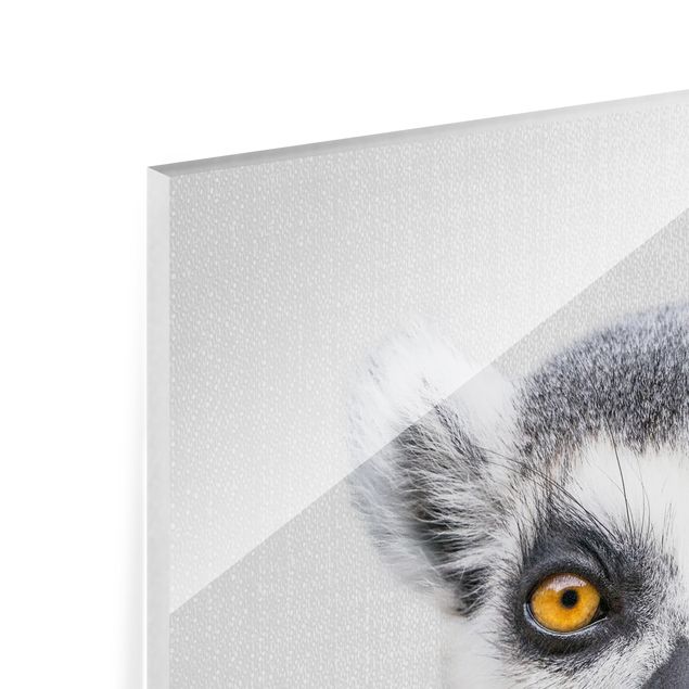 Gal Design Kunstdrucke Lemur Ludwig