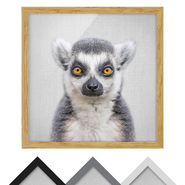 Wandbilder Schwarz-Weiß Lemur Ludwig