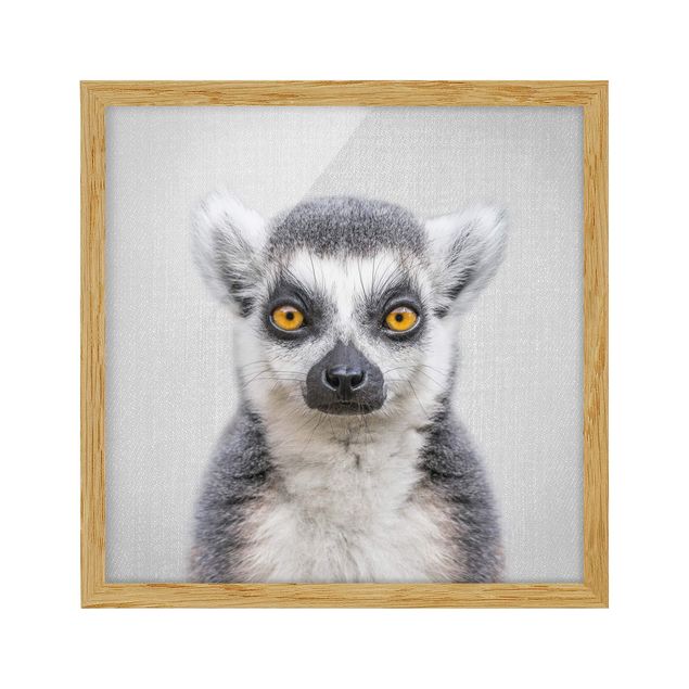 Gerahmte Bilder Tiere Lemur Ludwig