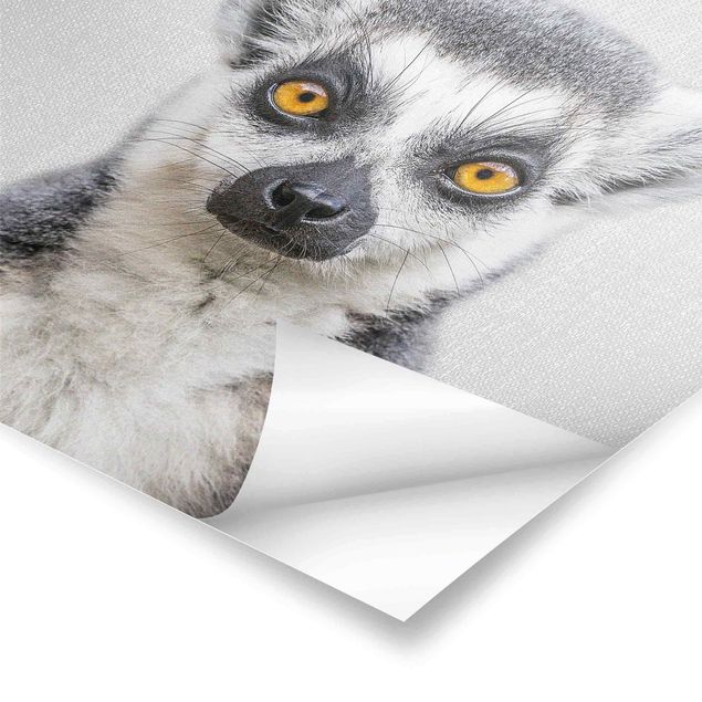 Gal Design Drucke Lemur Ludwig