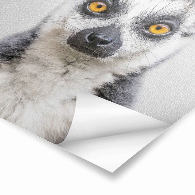 Gal Design Bilder Lemur Ludwig