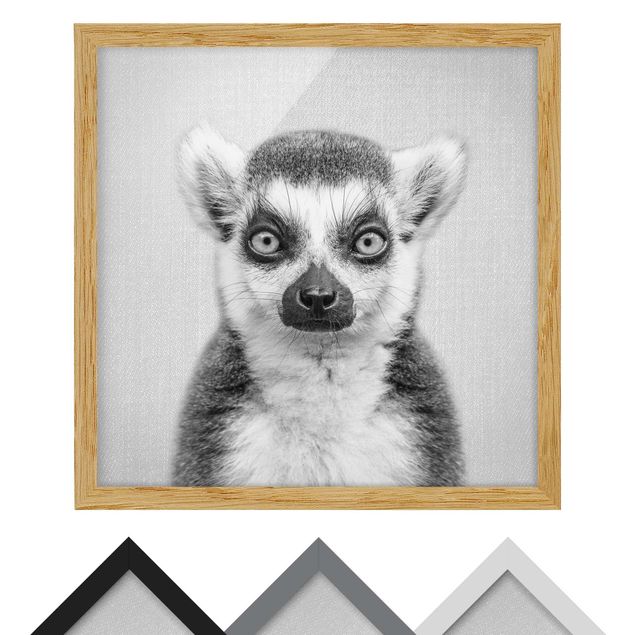 Wandbilder Schwarz-Weiß Lemur Ludwig Schwarz Weiß