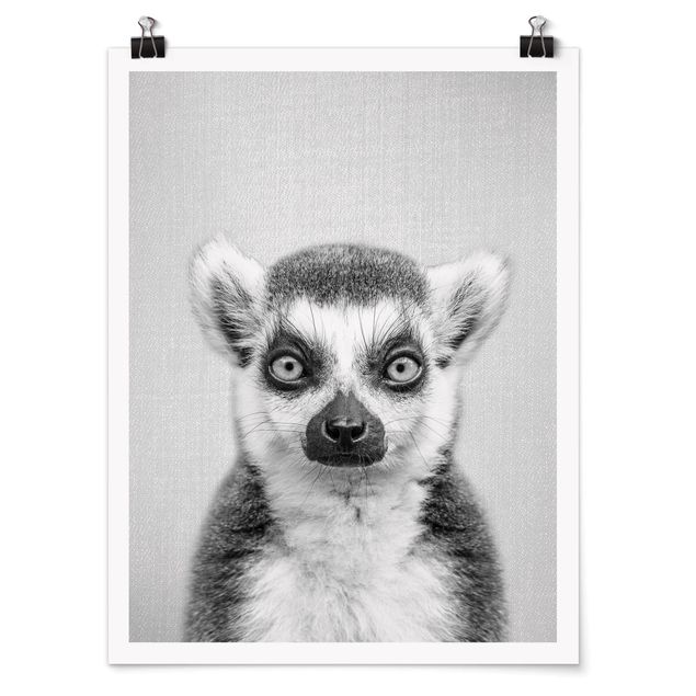 Poster Tiere Lemur Ludwig Schwarz Weiß