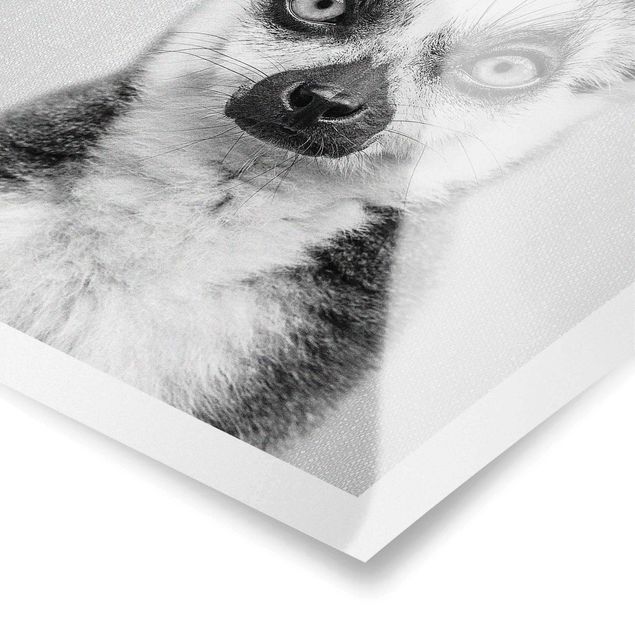 Wandbilder Schwarz-Weiß Lemur Ludwig Schwarz Weiß
