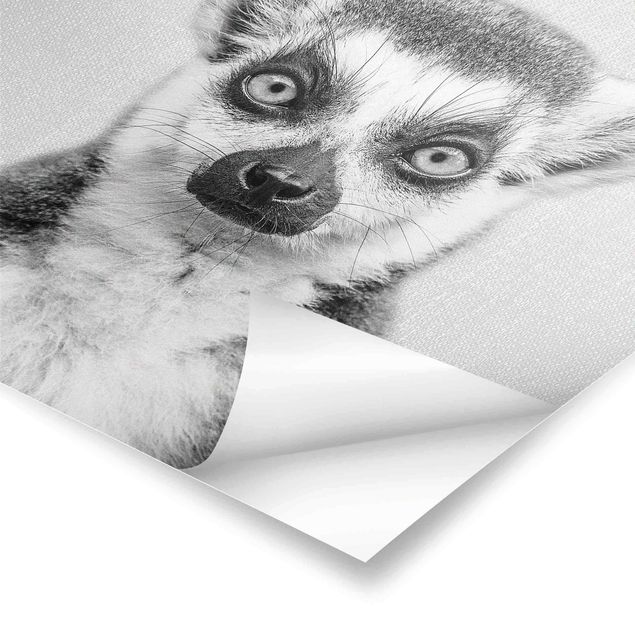 Gal Design Kunstdrucke Lemur Ludwig Schwarz Weiß