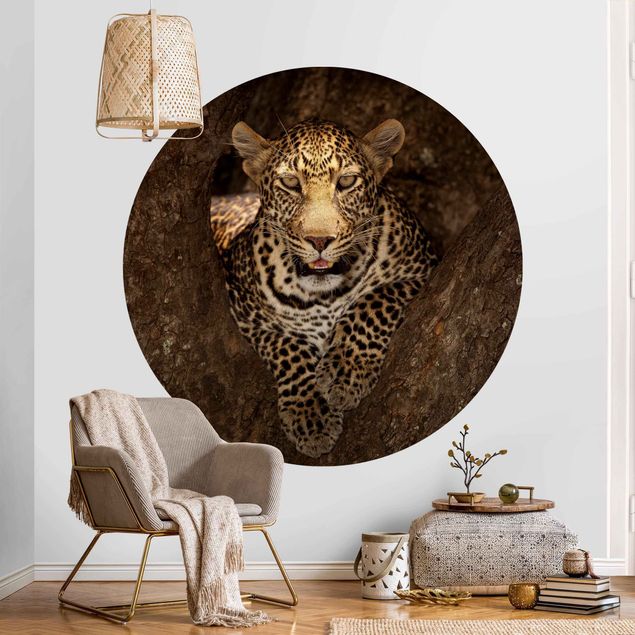 Wanddeko Küche Leopard ruht auf einem Baum