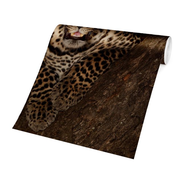 Wandtapete braun Leopard ruht auf einem Baum