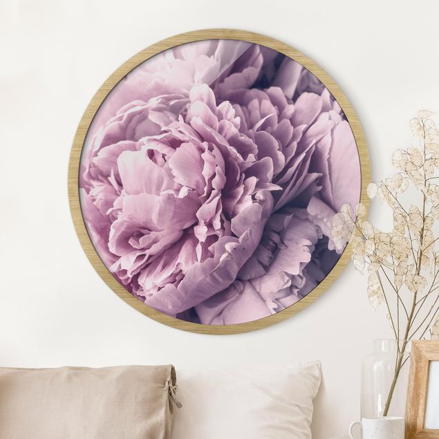 Blumenbilder mit Rahmen Lila Pfingstrosenblüten