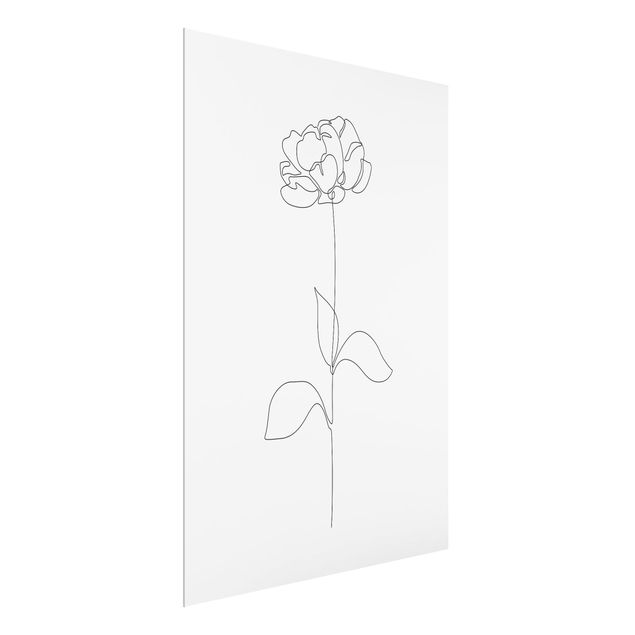 Wandbilder Modern Line Art Blumen - Pfingstrose