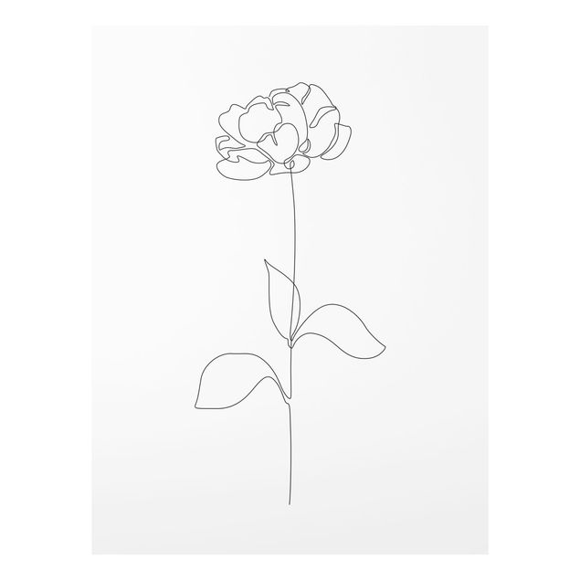 Wandbilder Schwarz-Weiß Line Art Blumen - Pfingstrose