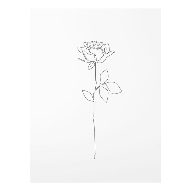 Wandbilder Schwarz-Weiß Line Art Blumen - Rose
