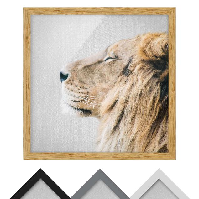 Wandbilder Schwarz-Weiß Löwe Leopold