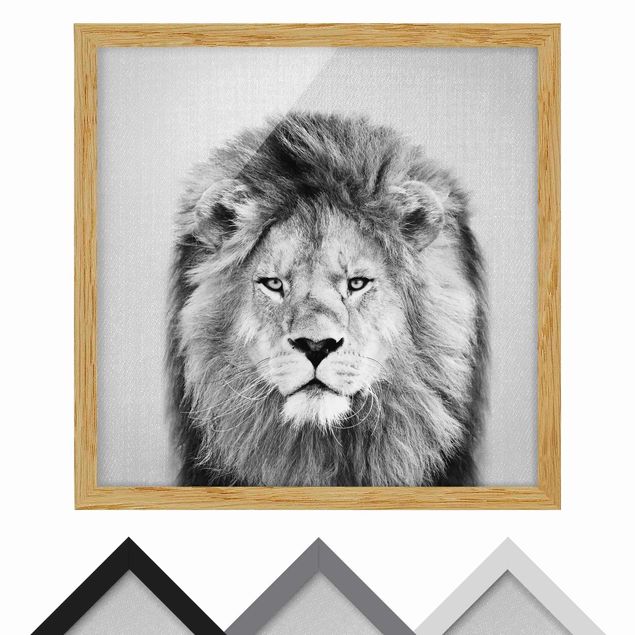 Wandbilder Schwarz-Weiß Löwe Linus Schwarz Weiß