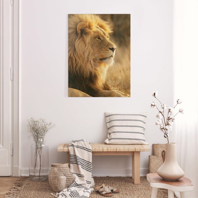 Katzenbilder auf Leinwand Löwenkönig