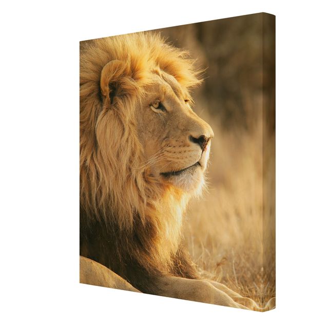 Leinwandbilder Naturmotive Löwenkönig