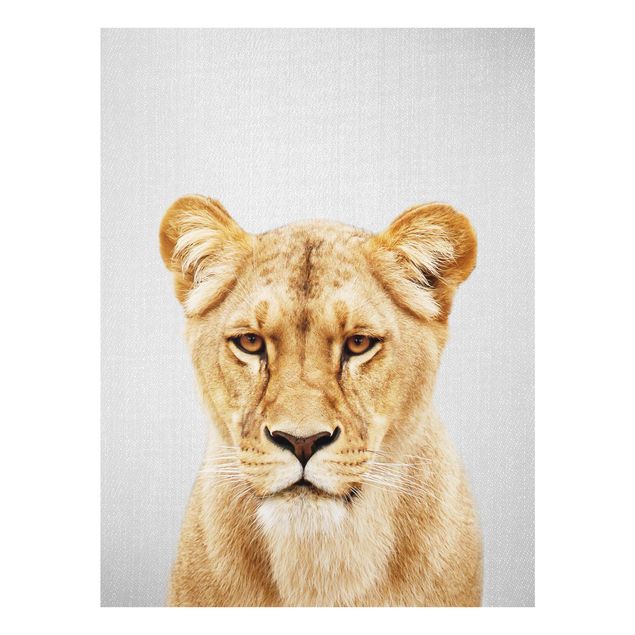 Wandbilder Afrika Löwin Lisa