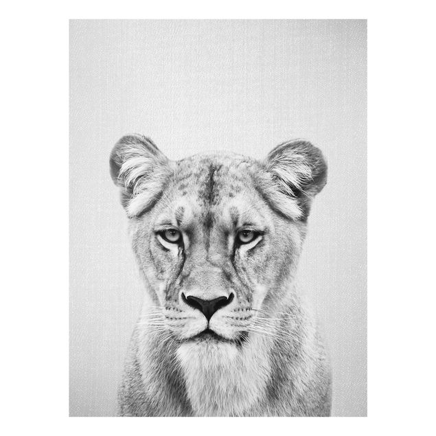 Wandbilder Afrika Löwin Lisa Schwarz Weiß
