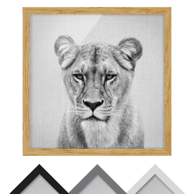 Wandbilder Schwarz-Weiß Löwin Lisa Schwarz Weiß