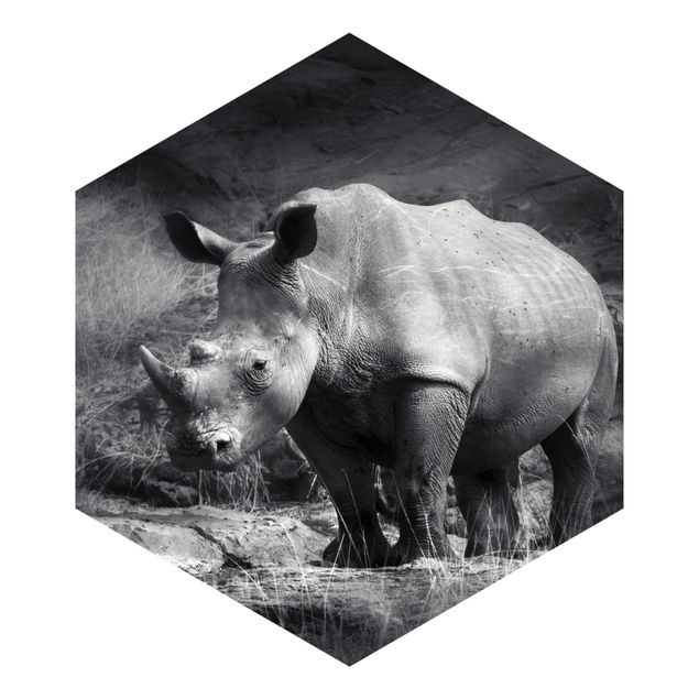 Fototapete kaufen Lonesome Rhinoceros