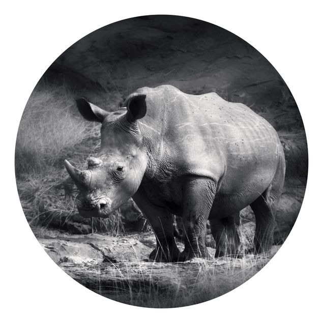 Fototapete Schwarz-Weiß Lonesome Rhinoceros
