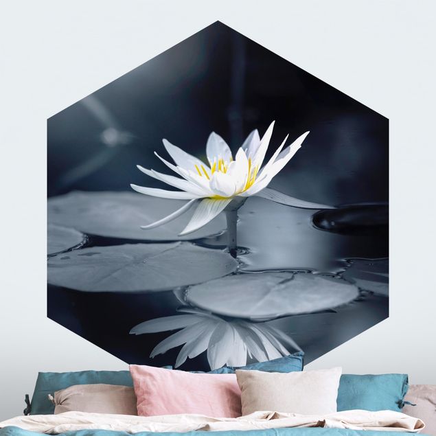 Fototapete Rosen Lotus Spiegelung im Wasser
