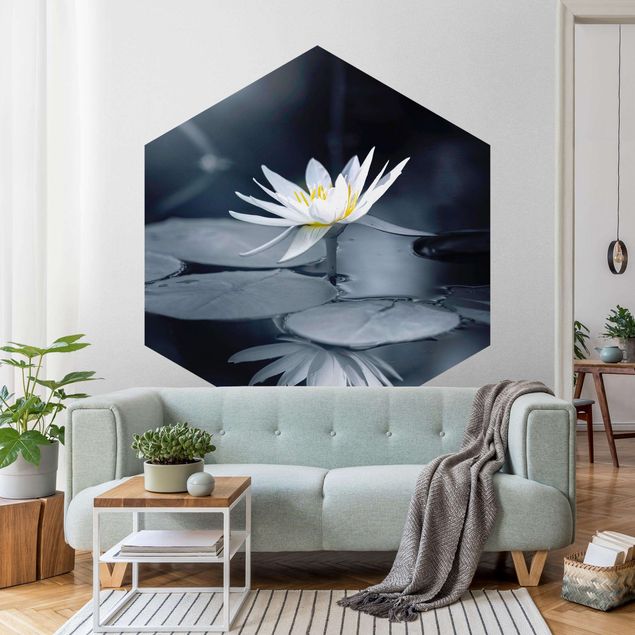 Fototapete Blumen Lotus Spiegelung im Wasser
