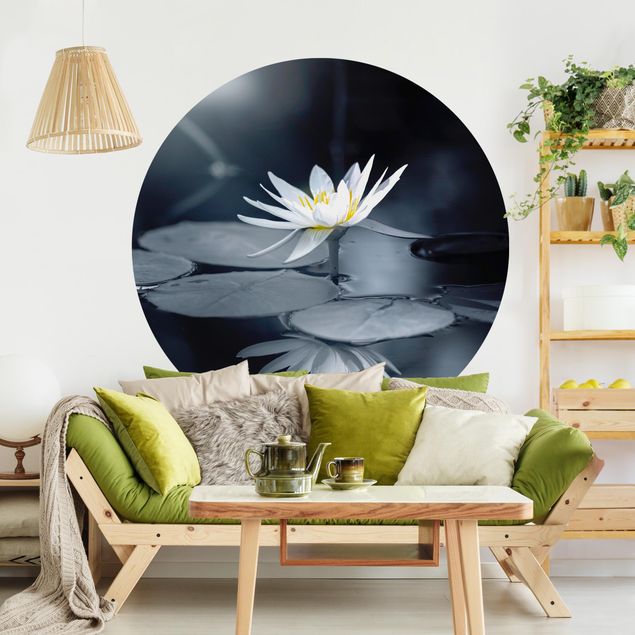 moderne Fototapete Lotus Spiegelung im Wasser