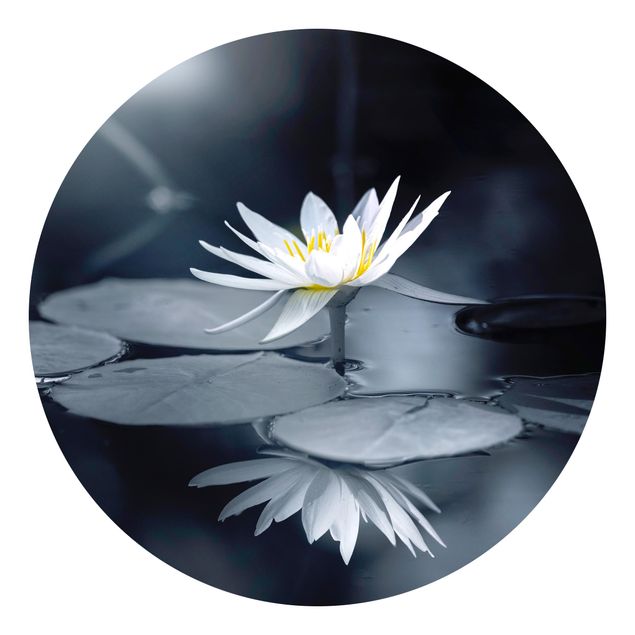 Wandtapete blau Lotus Spiegelung im Wasser