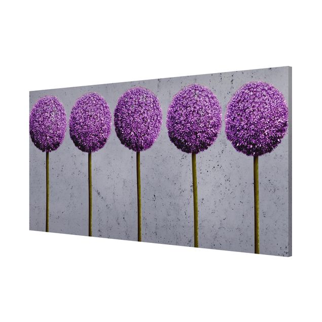 Wandbilder Floral Allium Kugel-Blüten