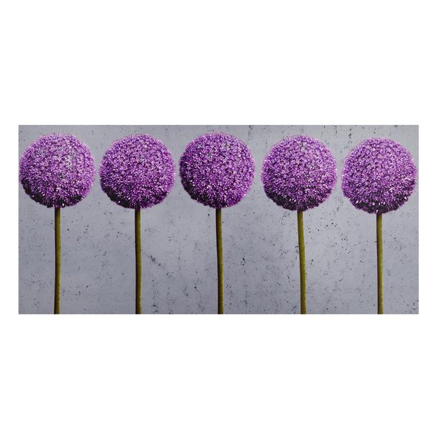 Magnettafeln Blumen Allium Kugel-Blüten