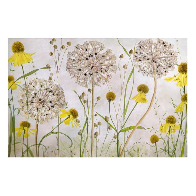 Magnettafeln Blumen Allium und Helenium Illustration