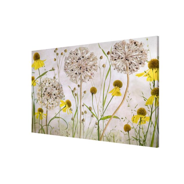 Wandbilder Floral Allium und Helenium Illustration
