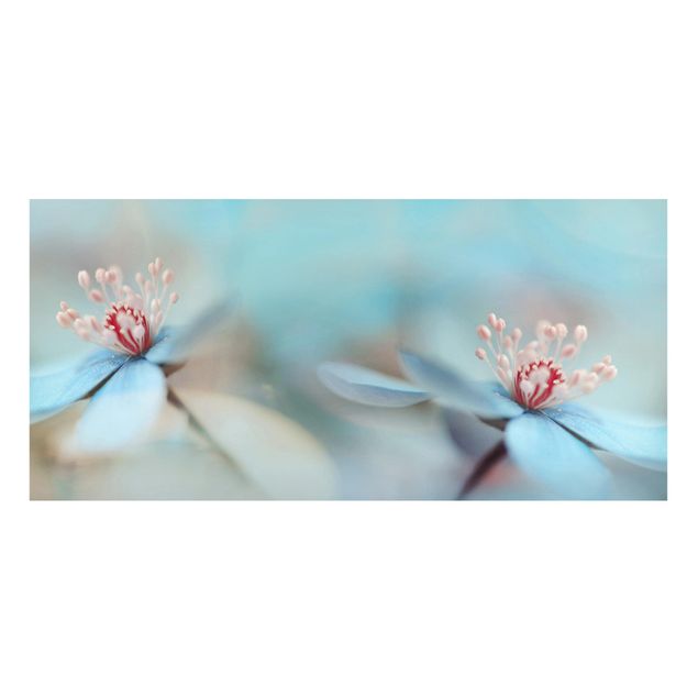 Magnettafel Blume Blüten in Hellblau