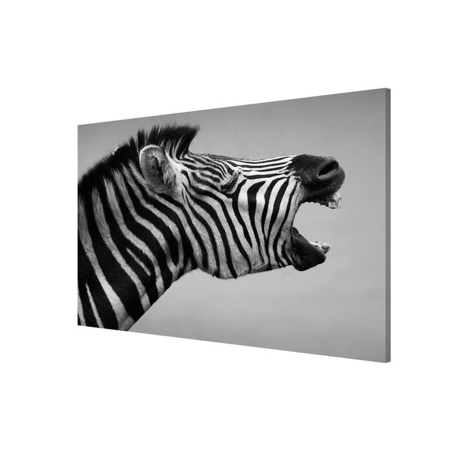 Magnettafel Tiere Brüllendes Zebra II