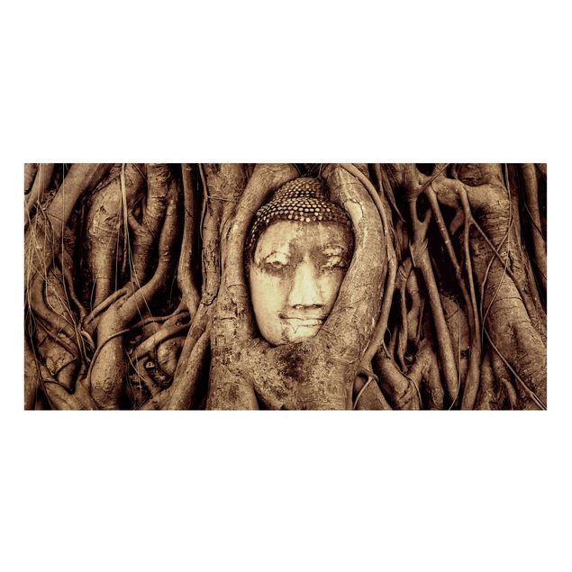 Wandbilder Bäume Buddha in Ayutthaya von Baumwurzeln gesäumt in Braun