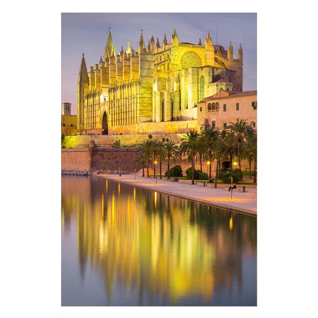 Wandbilder Katzen Catedral de Mallorca Wasserspiegelung