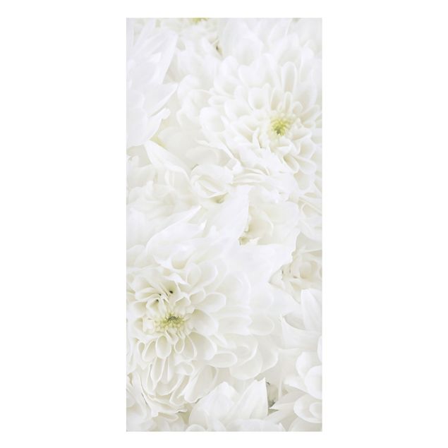 Magnettafeln Blumen Dahlien Blumenmeer weiß