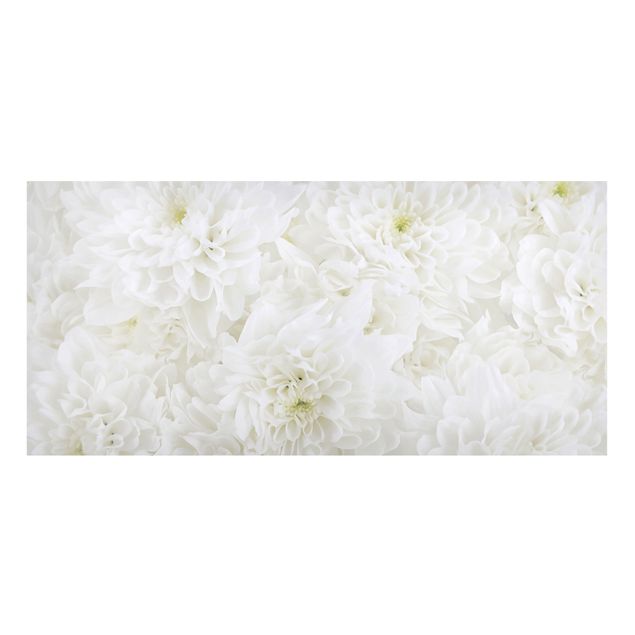 Magnettafeln Blumen Dahlien Blumenmeer weiß
