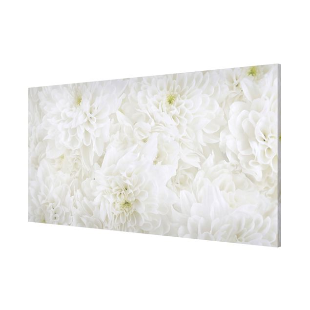 Wandbilder Floral Dahlien Blumenmeer weiß