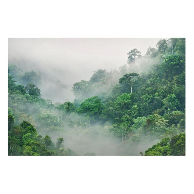 Wandbilder Bäume Dschungel im Nebel