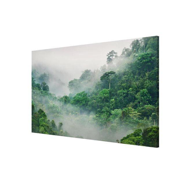 Wandbilder Landschaften Dschungel im Nebel