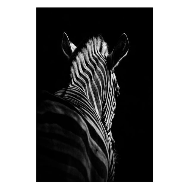 Wandbilder Zebras Dunkle Zebra Silhouette