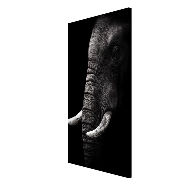 Wandbilder Landschaften Dunkles Elefanten Portrait