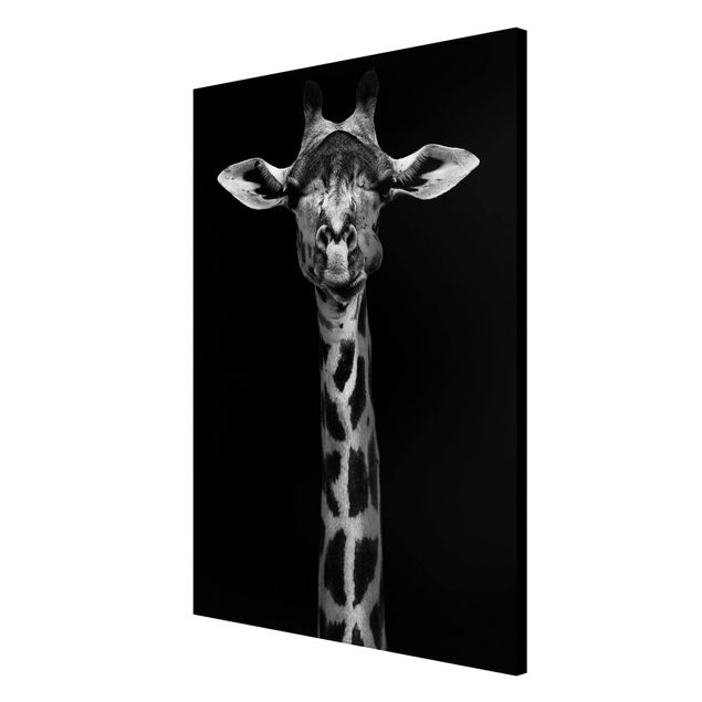 Magnettafeln Tiere Dunkles Giraffen Portrait