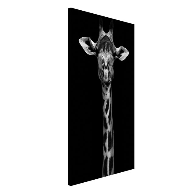 Küche Dekoration Dunkles Giraffen Portrait