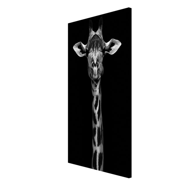 Magnettafel Tiere Dunkles Giraffen Portrait