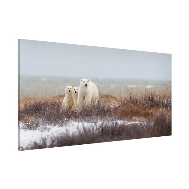Wandbilder Bären Eisbärin und ihre Jungen