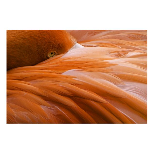 Magnettafel Tiere Flamingofedern