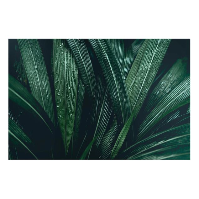 Magnettafeln Blumen Grüne Palmenblätter