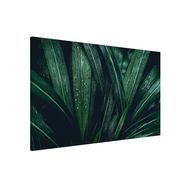 Wanddeko Küche Grüne Palmenblätter